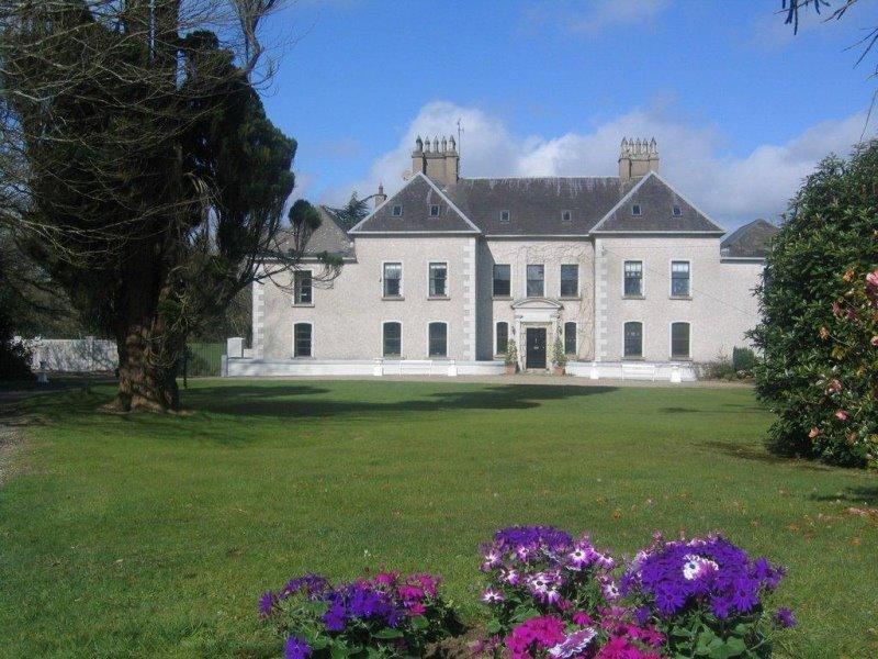 Rathaspeck Manor B&B Drinagh Extérieur photo